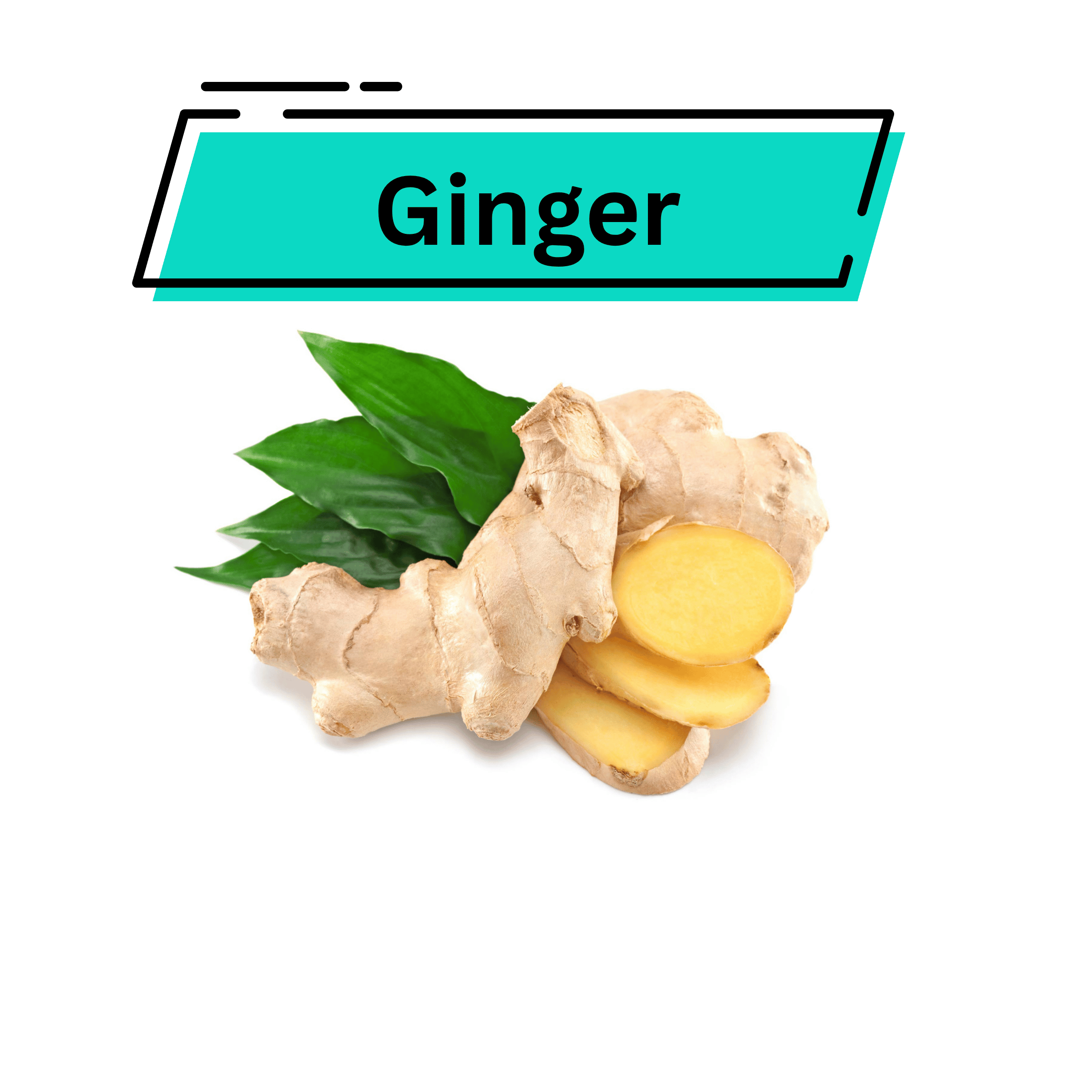 Ginger